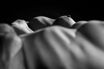 Erick-Coll-EROGENO-2