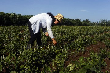 agriculturamujer_MG_9350 copy