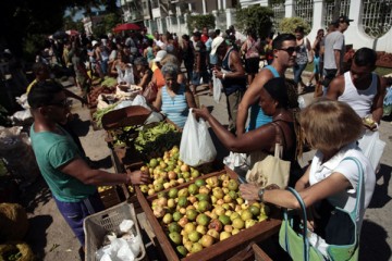 agro_DB05736-copy