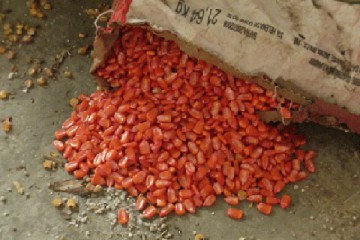 Haiti Grassroots Watch