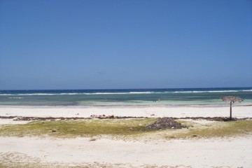 Archivos IPS Cuba