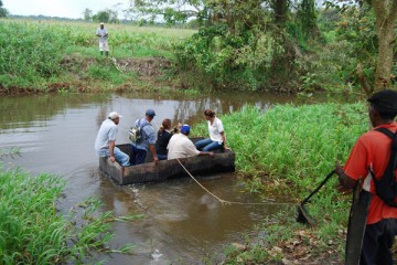 Peter Richards - IPS