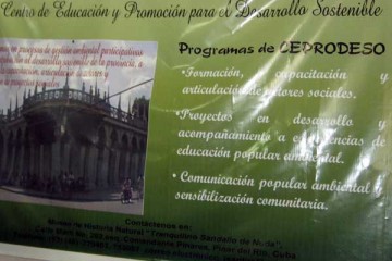 Patricia Grogg - IPS