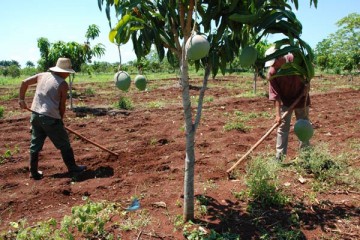 Archivo IPS Cuba