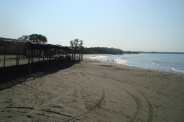 IPS