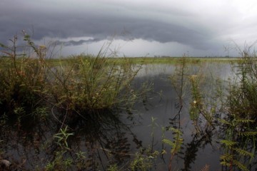 Jorge Luis Baños-IPS/jlbimagenes@yahoo.es