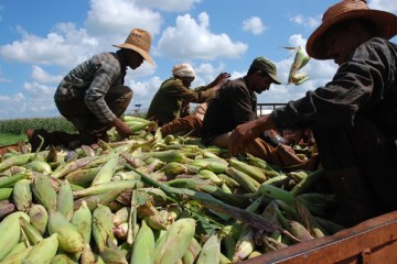 Jorge Luis Baños-IPS/jlbimagenes@yahoo.es