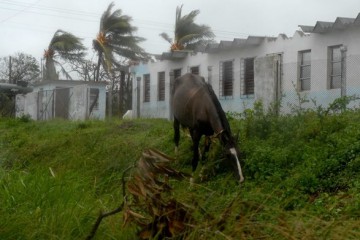 Jorge Luis Baños-IPS/jlbimagenes@yahoo.es