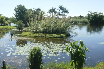 Jorge Luis Baños/ jlbimagen@gmail.com