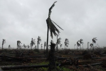 Jorge Luis Baños/ jlbimagen@gmail.com