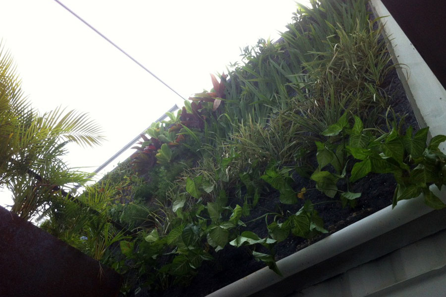 Azoteas Verdes