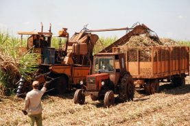 asociacion cubana tecnicos azucareros