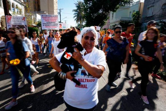 activistas cubanos protectores de aimales