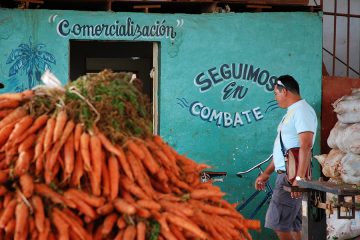 comercialización productos agropecuarios