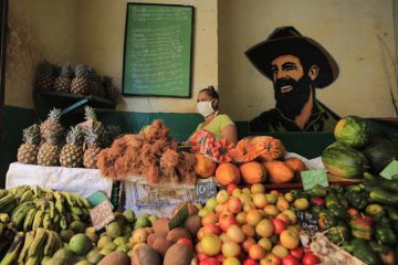 agricultura cuba
