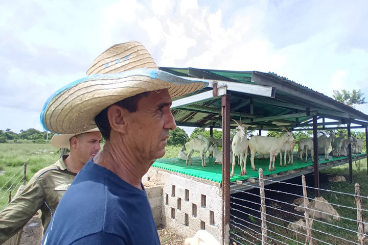 productores ganado menor sancti spiritus