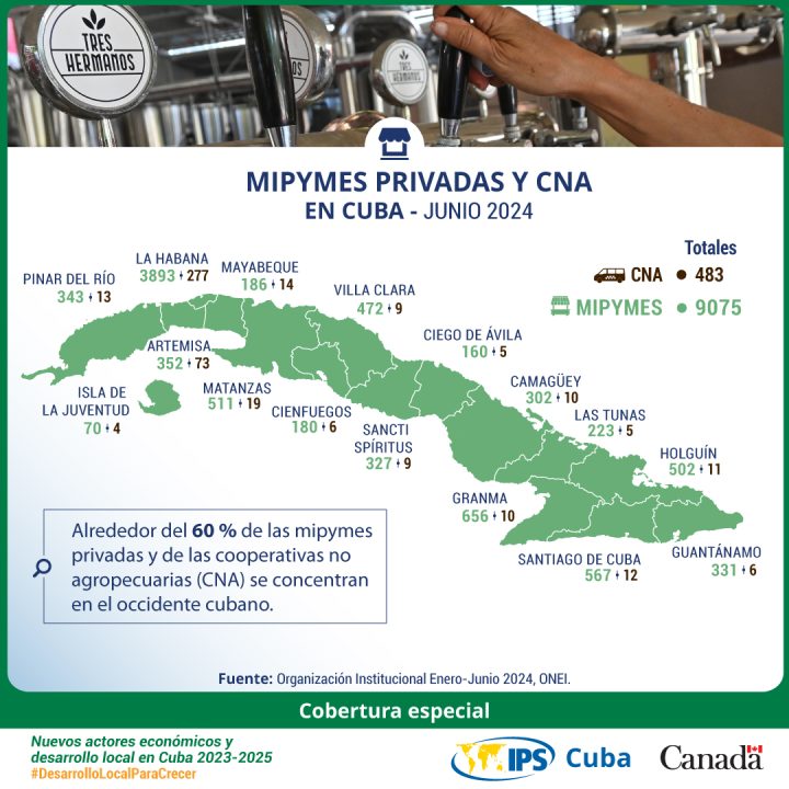 actores no estatales de la economía cubana