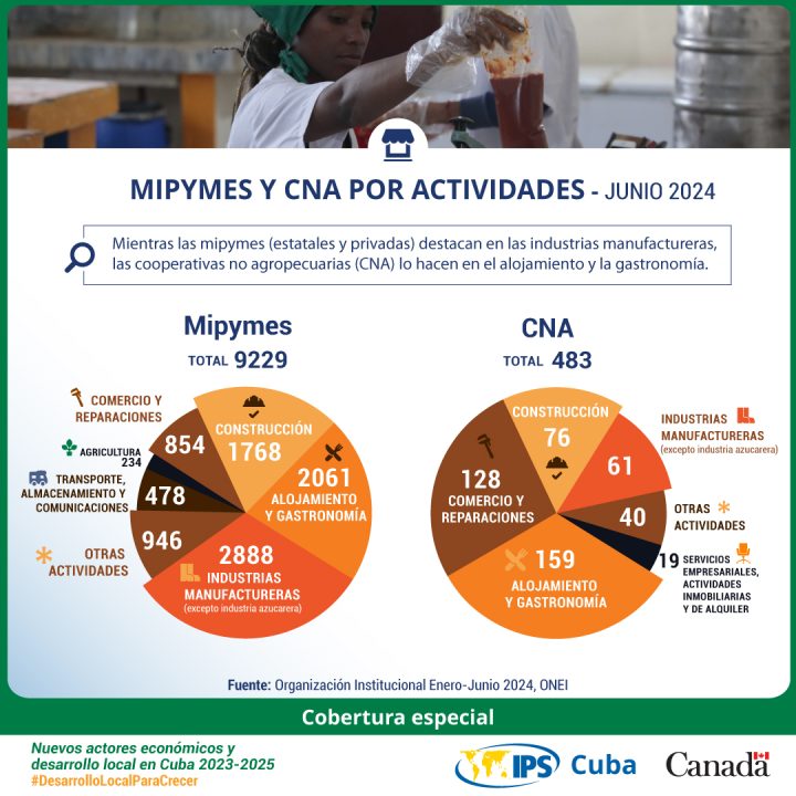 actores no estatales de la economía cubana