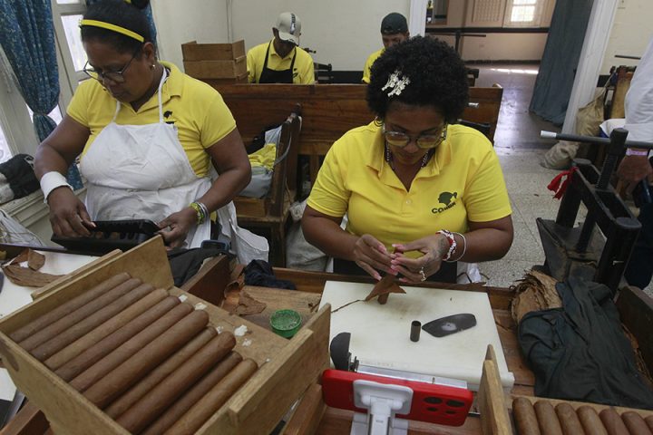 El desempeño de la empresa estatal cubana refleja tanto las limitaciones estructurales del modelo como las oportunidades de cambio